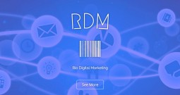 Services: RDM Social Media Marketing Services